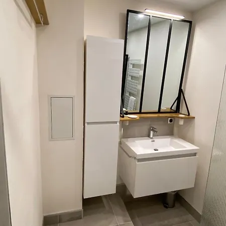 דירה 2p Typique Alsace Vieux Avec Parking שילטיגהיים
