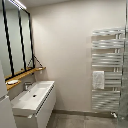 2p Typique Alsace Vieux Avec Parking שילטיגהיים