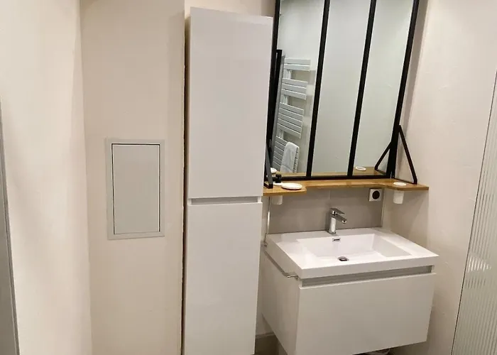 Appartement 2p Typique Alsace Vieux Avec Parking Schiltigheim