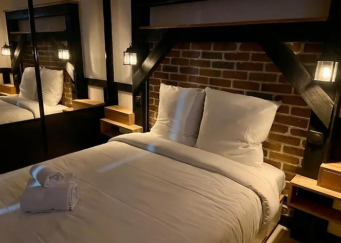 Appartement 2p Typique Alsace Vieux Avec Parking Schiltigheim
