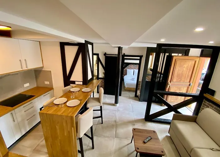 Appartement 2p Typique Alsace Vieux Avec Parking
