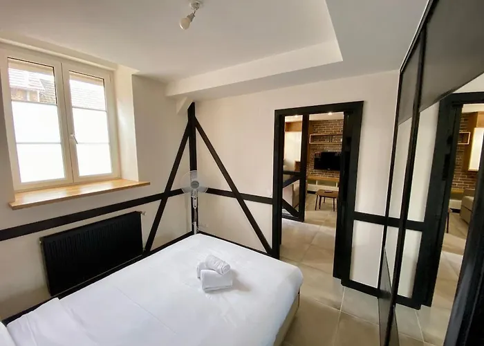 Appartement 2p Typique Alsace Vieux Avec Parking Schiltigheim