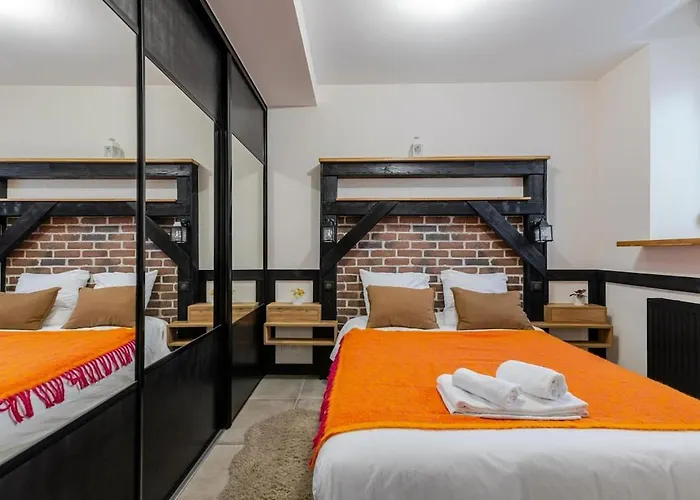 Appartement 2p Typique Alsace Vieux Avec Parking Schiltigheim