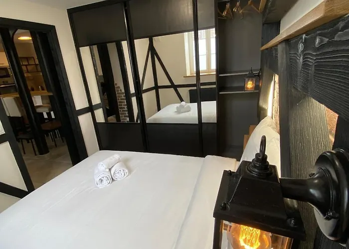 Appartement 2p Typique Alsace Vieux Avec Parking *